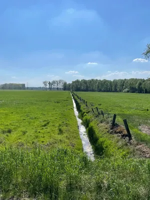 Entwässerungskanal im Campemoor © Fiona Hasenbach