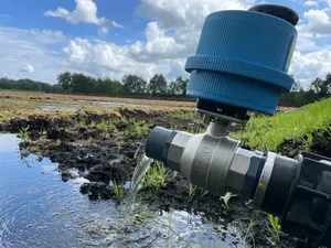 Wasserzulauf im Hankhauser Moor