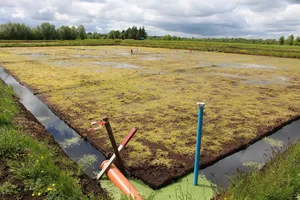 Überlauf und Messpegel © Greta Gaudig